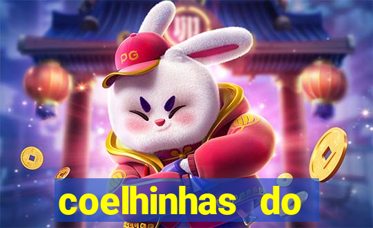 coelhinhas do brasil jp